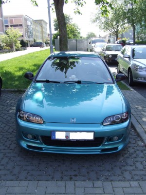 neuestes Bild.JPG