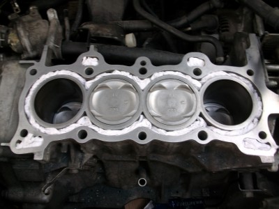 SANY0690.JPG