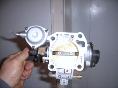 SUC51972.JPG