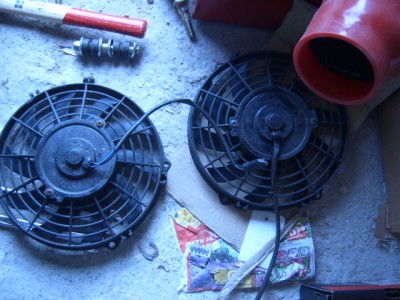 SUC52026.JPG