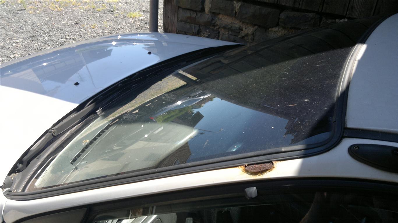 02062011226 (Medium).jpg