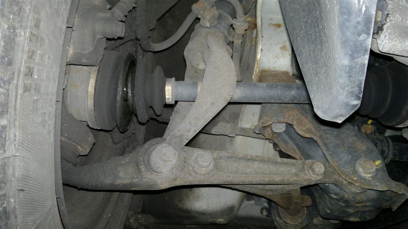 02062011236 (Medium).jpg