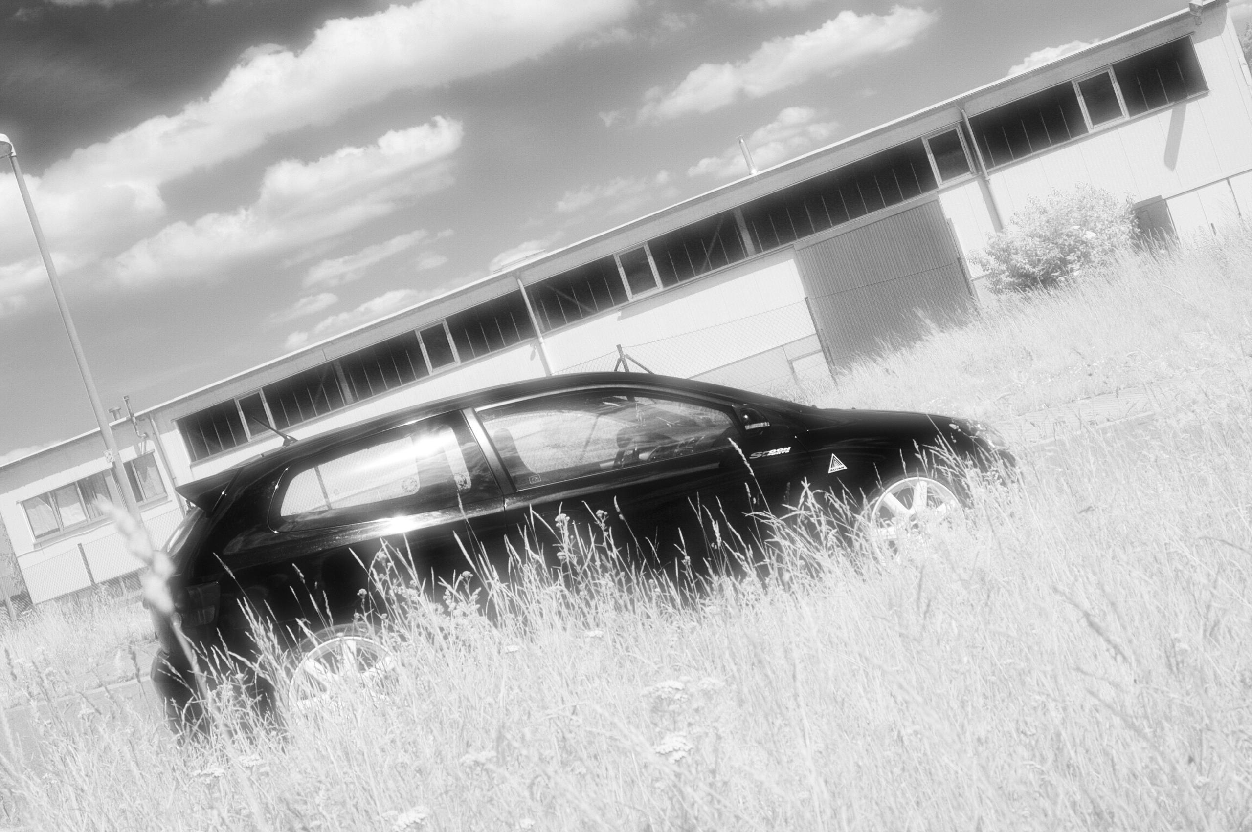 civic 031.jpg