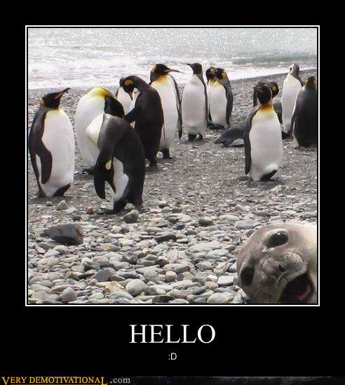 demotivational-posters-hello.jpg