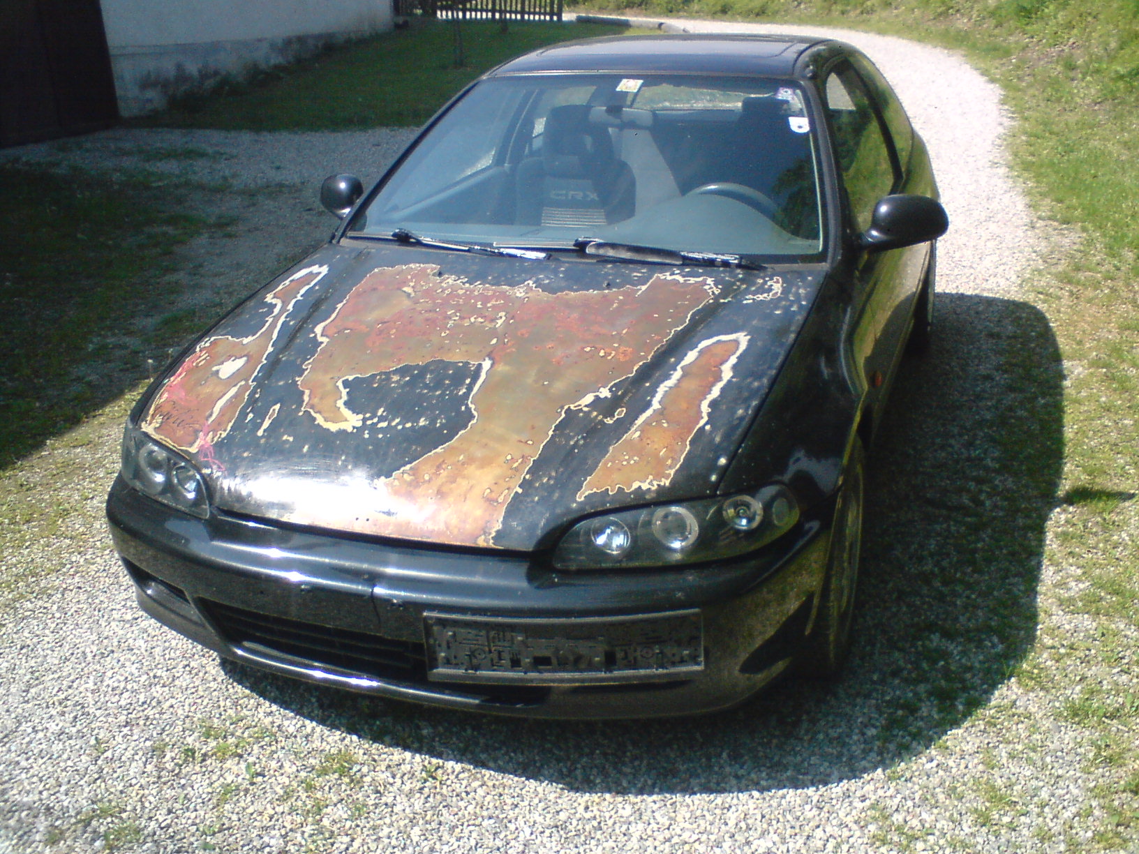 DSC00986.JPG