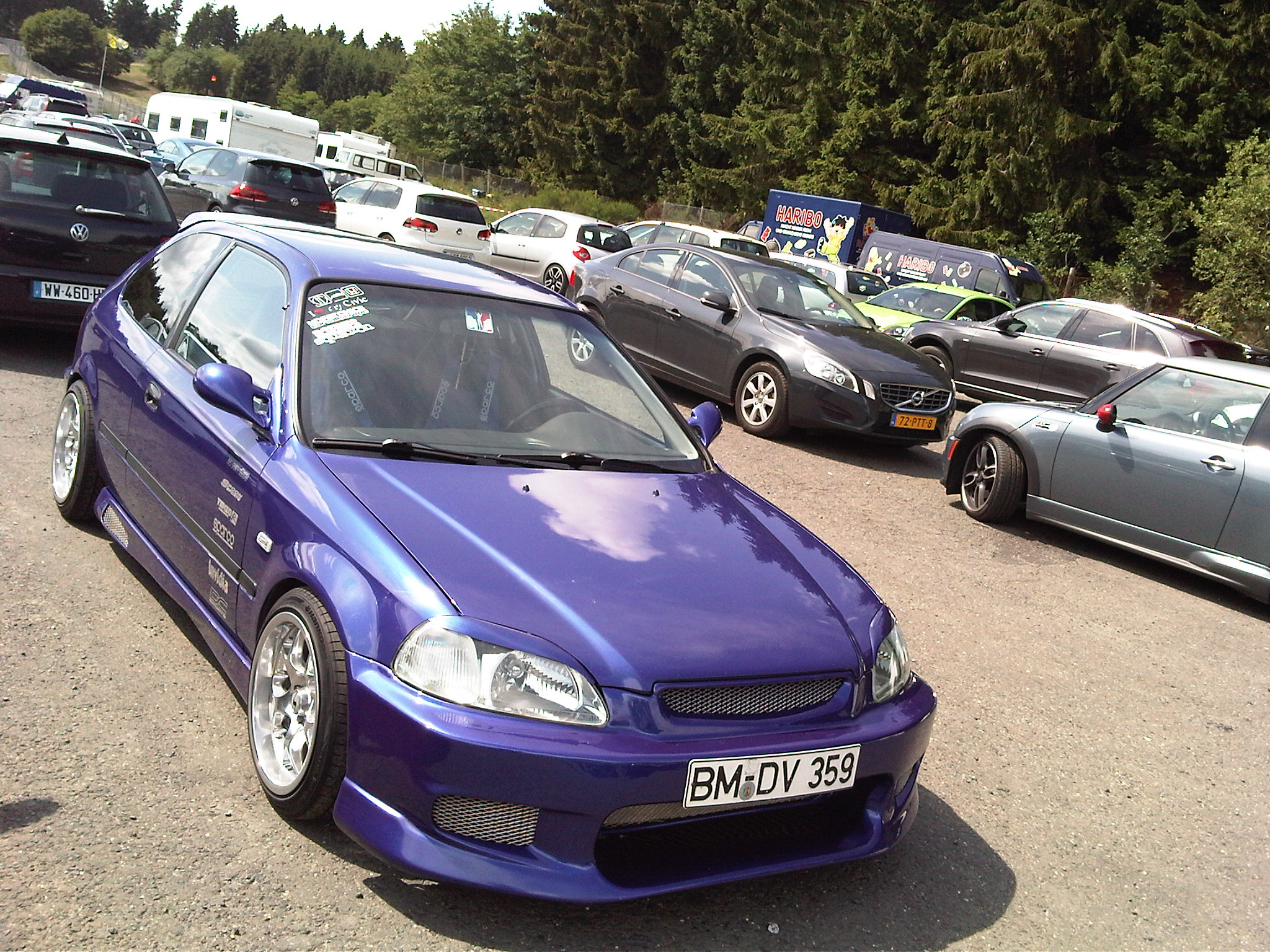 IMG01253-20110618-1550.jpg