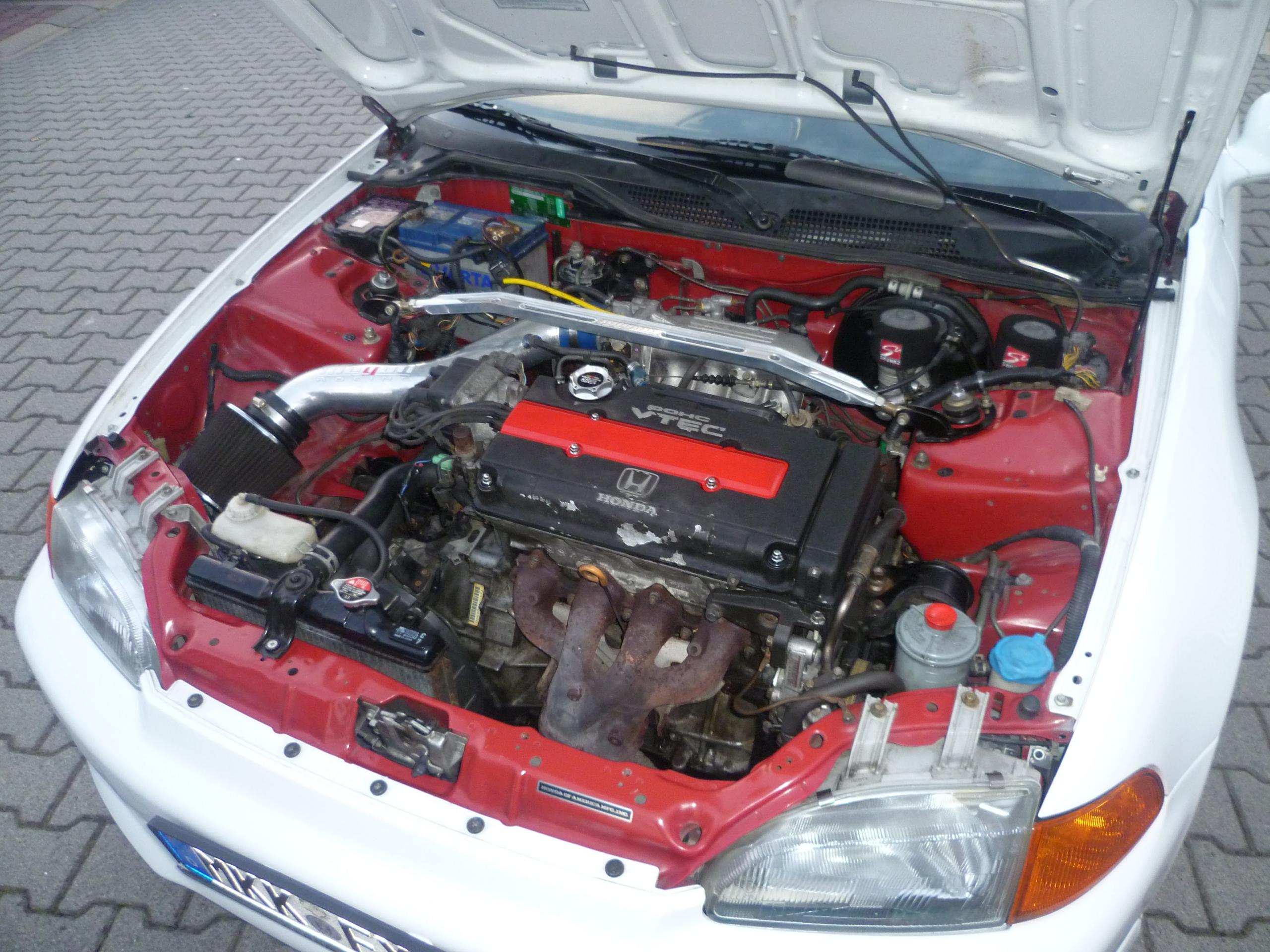 P1000331.JPG