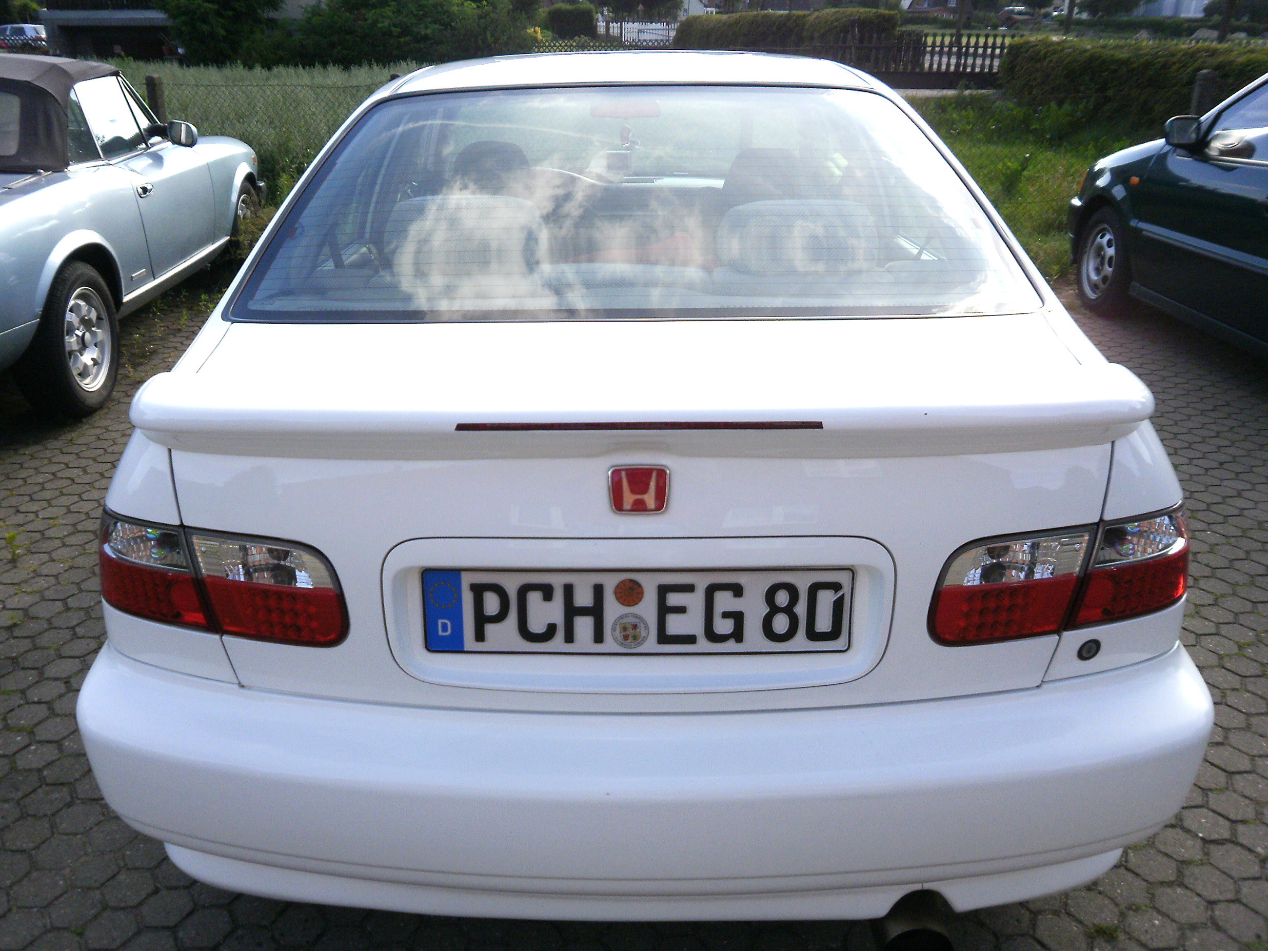 P2230160.jpg