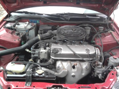 t_foto1142.jpg
