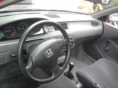 t_foto1156.jpg