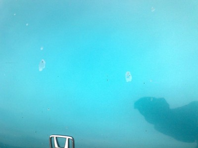 080620113048.jpg