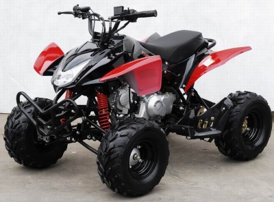 2008130143142317791_125cc_ATV_YL817.jpg