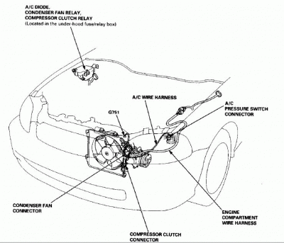 arv4nfhrfmvdkrhfm[1].jpg
