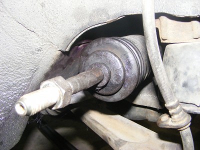 DSCF8503.JPG