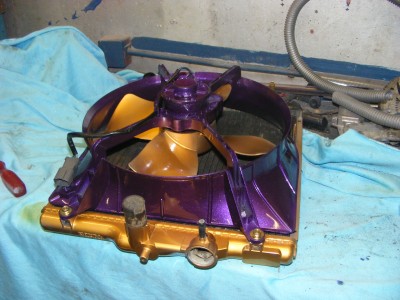 DSCF8511.JPG
