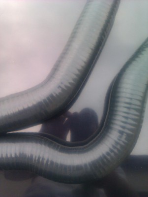 IMAG0192.jpg