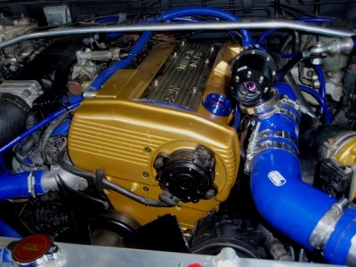 PB270949.JPG