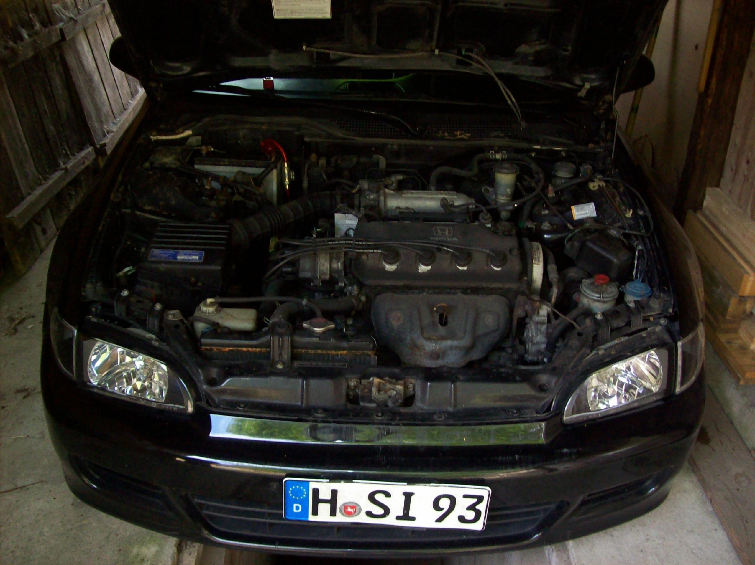 100_2384.JPG