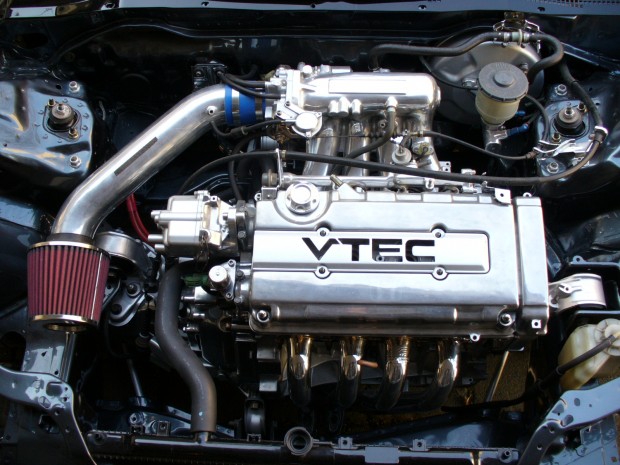 41yc7p6kl5amj196uytgci6atj5z6l.jpg