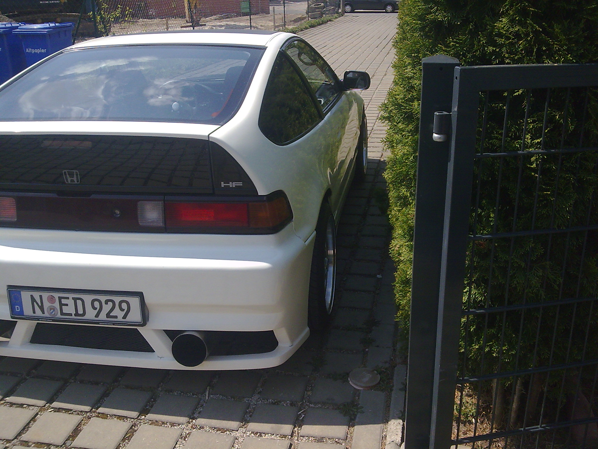 Bild1185.jpg