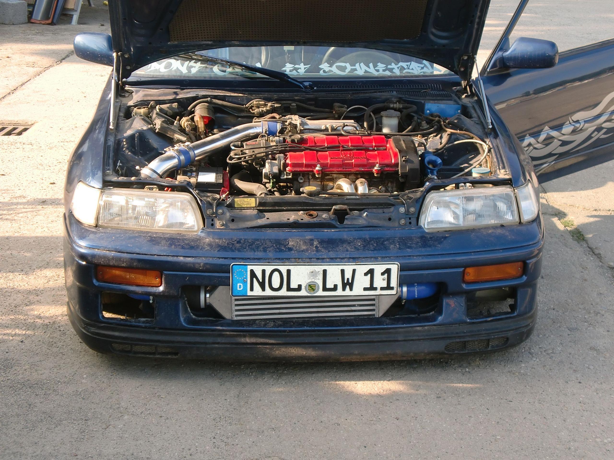 CIMG3273neu.jpg