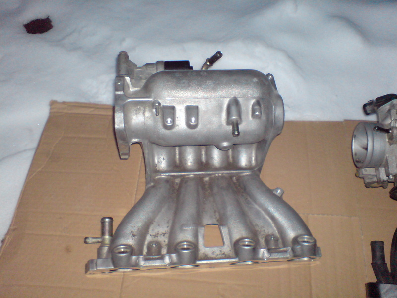dsc00238wb.jpg