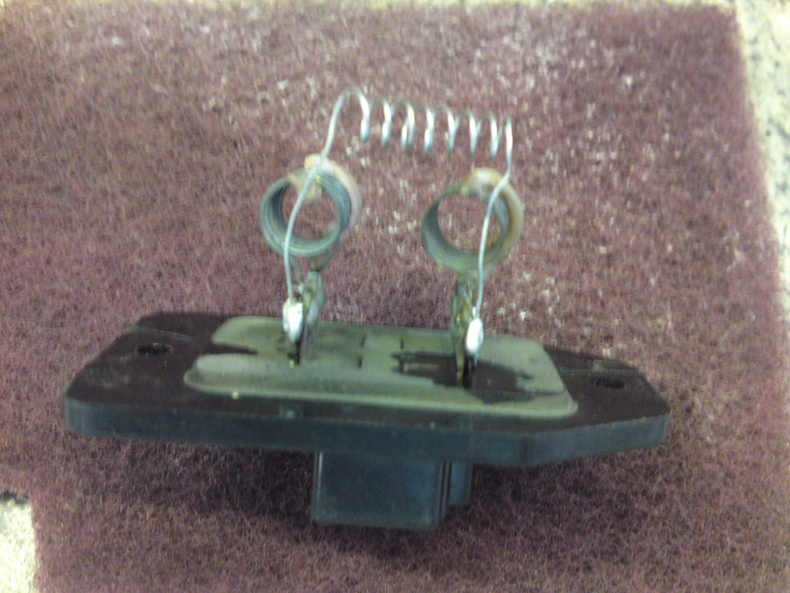 DSC00384.JPG
