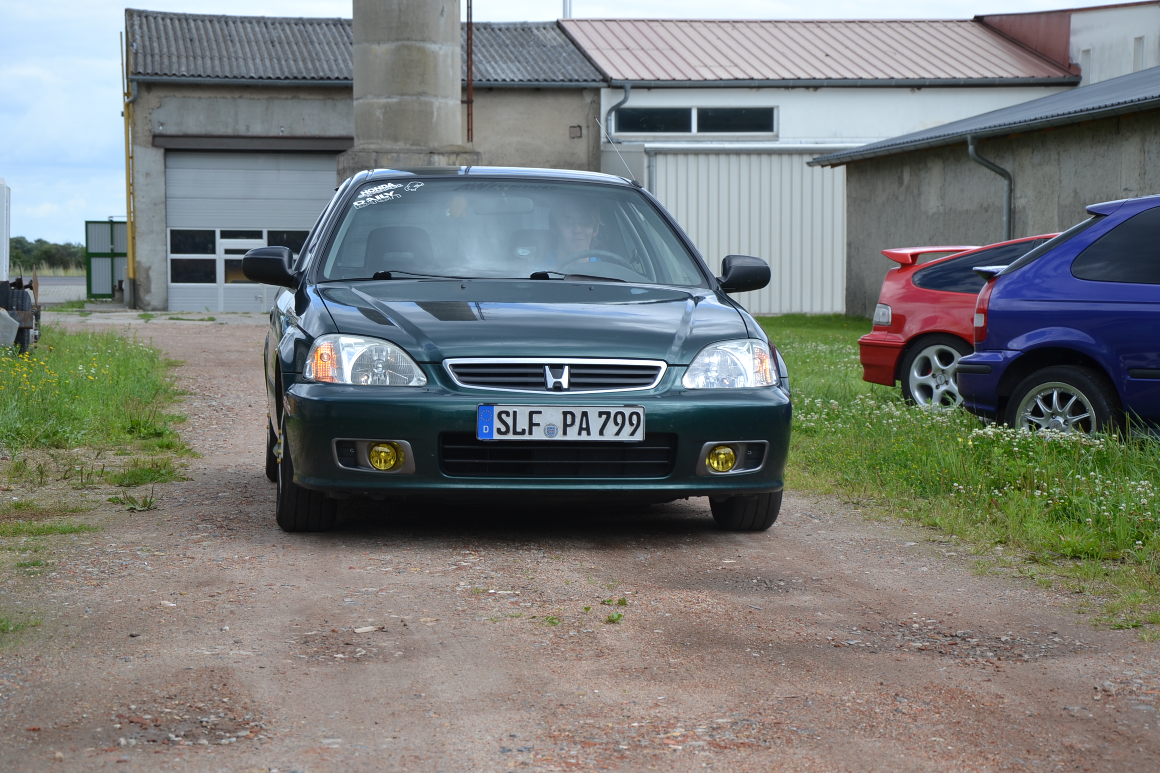 DSC_0802.JPG