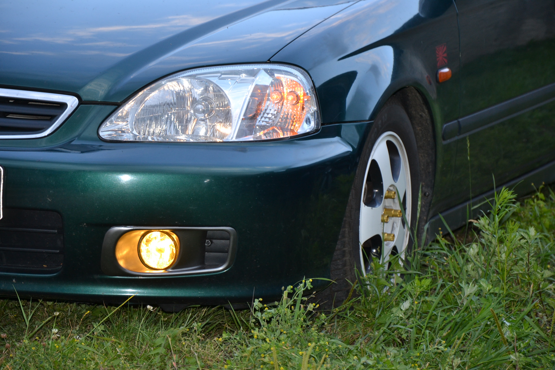 DSC_1154.JPG