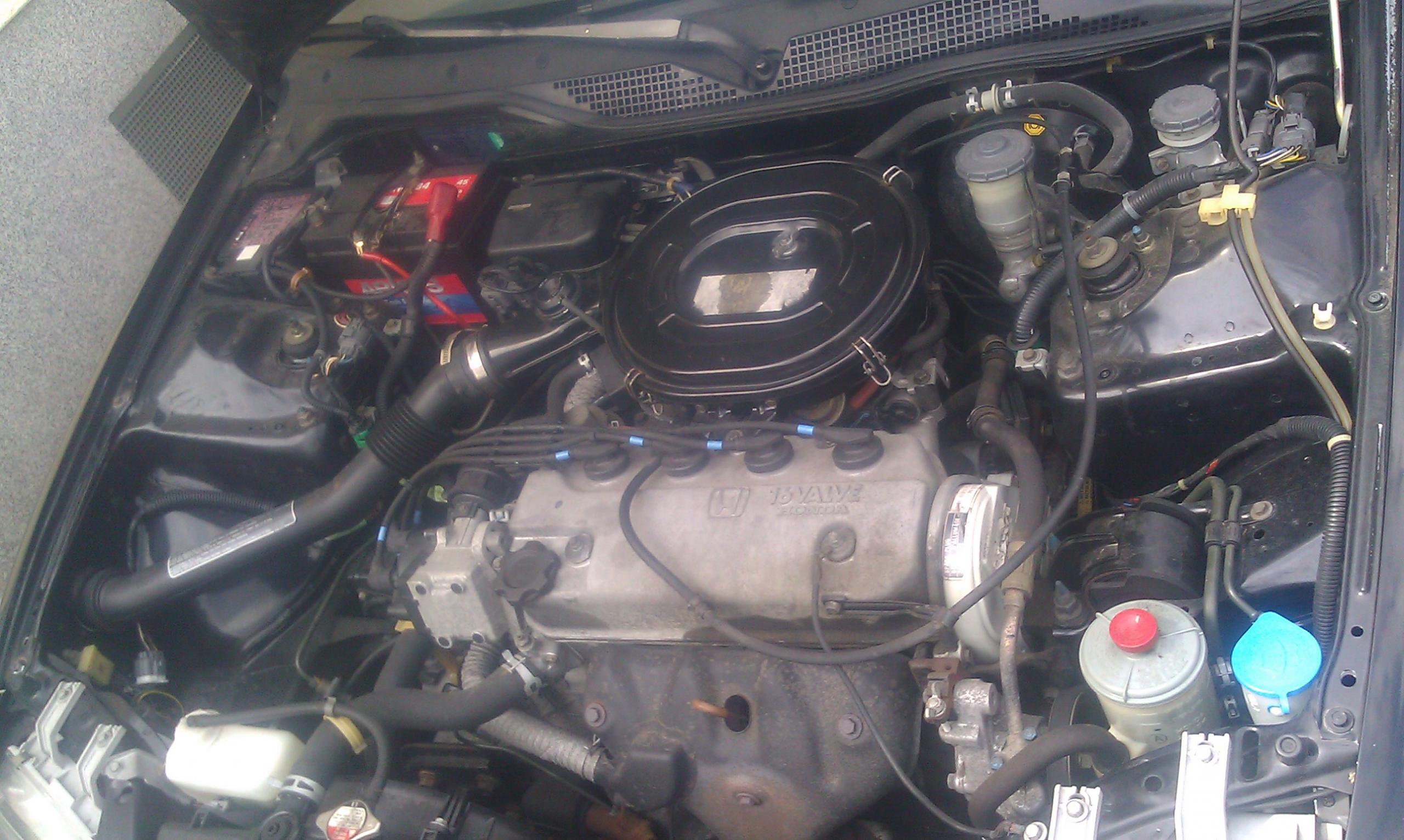 IMAG0533.jpg