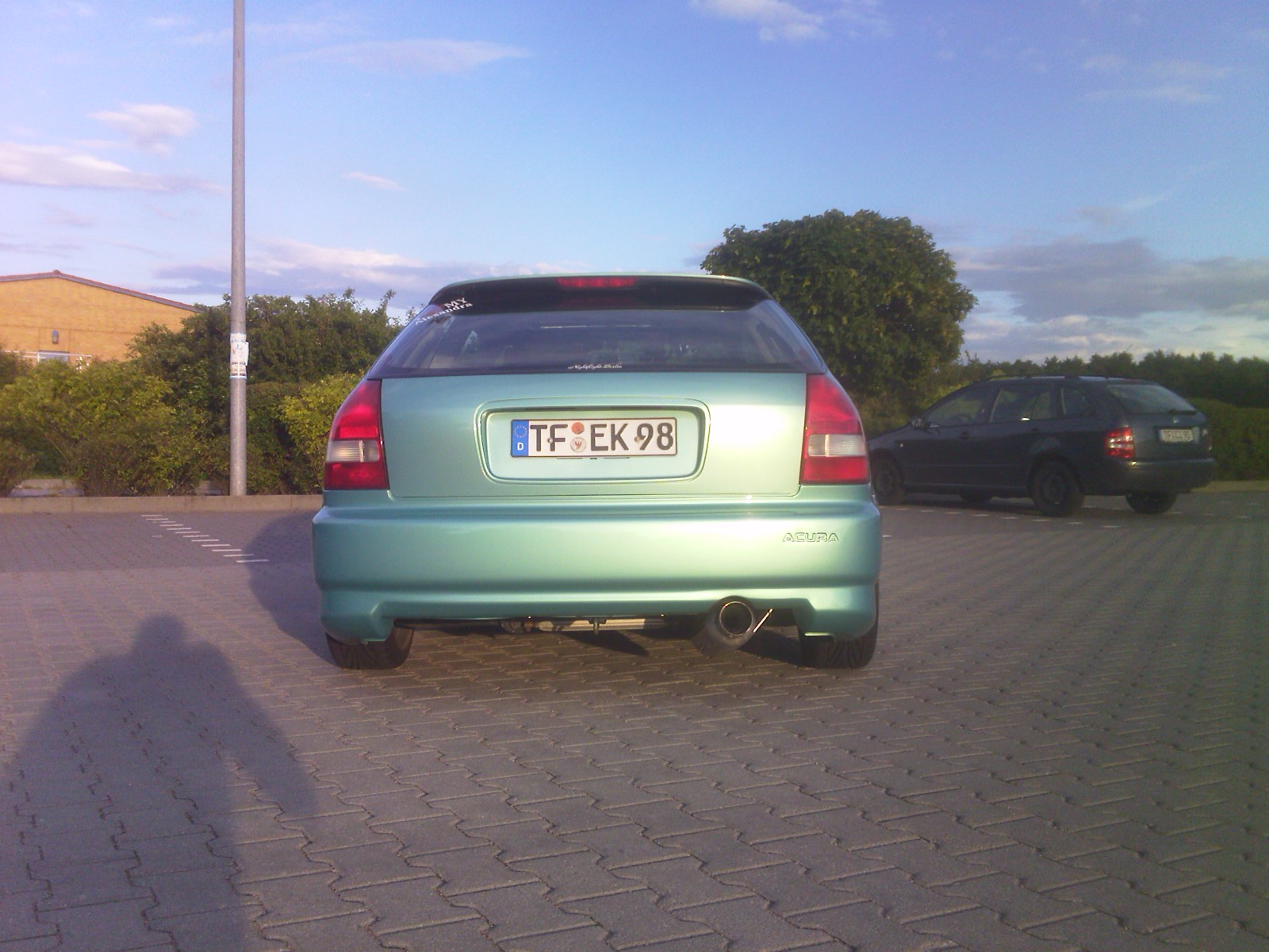 IMG973.jpg