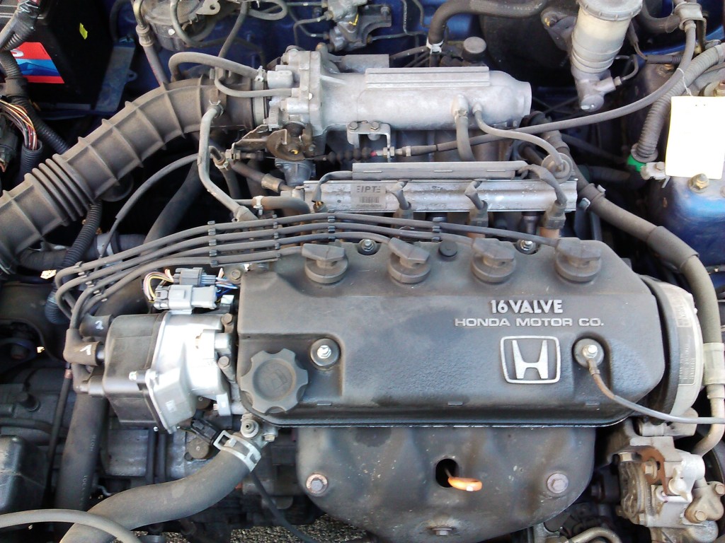 IMG_20110731_191340.jpg