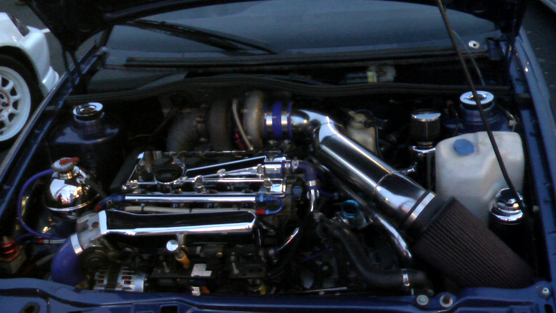 IMGA0079.JPG