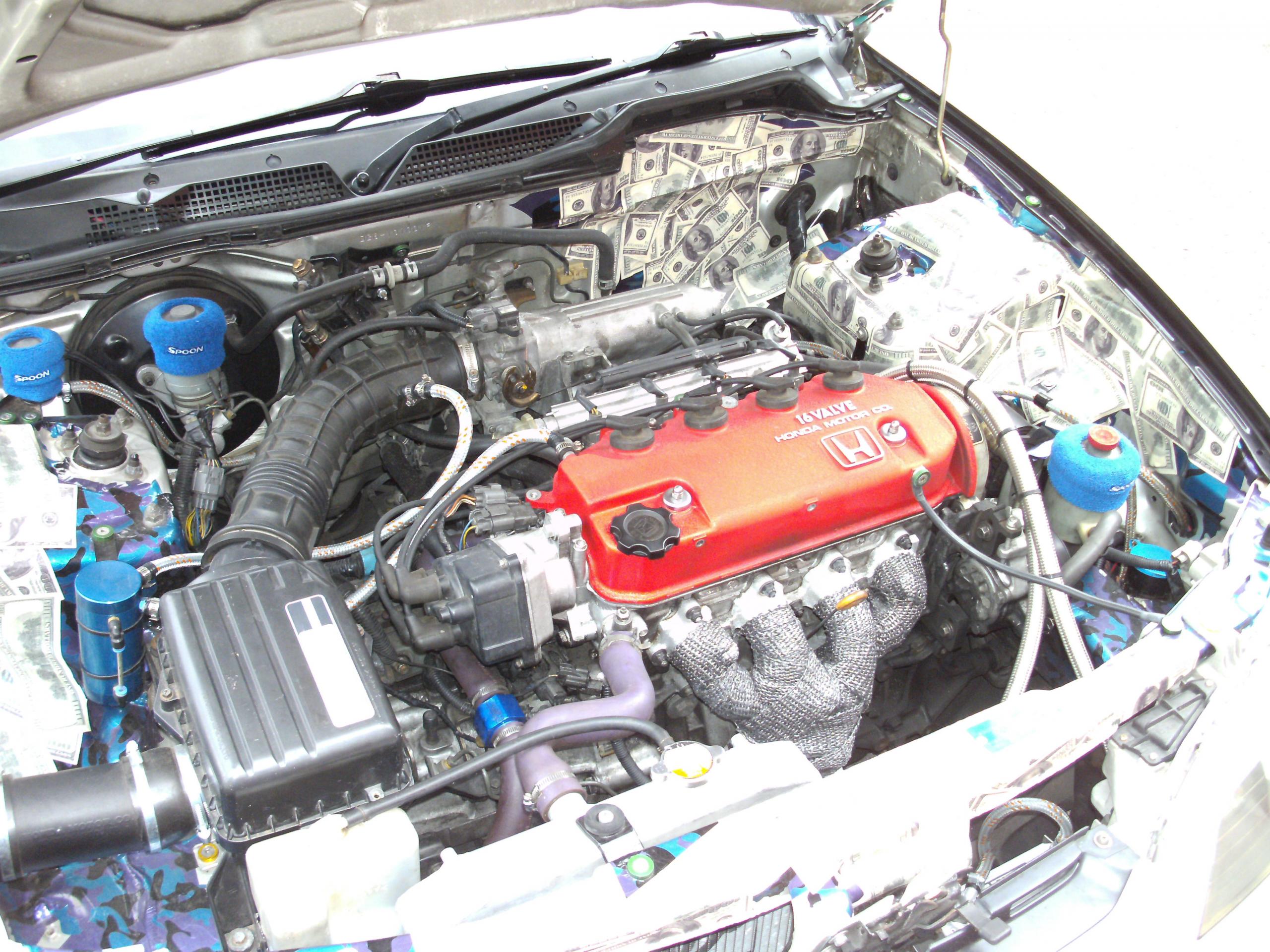 PICT0197.jpg