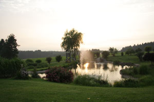 tag5.jpg