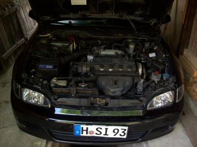 100_2384.JPG