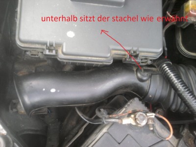 2011-07-22 17.21.11.jpg