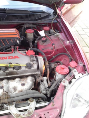 27072011917.JPG