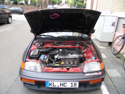 CIMG0318.JPG