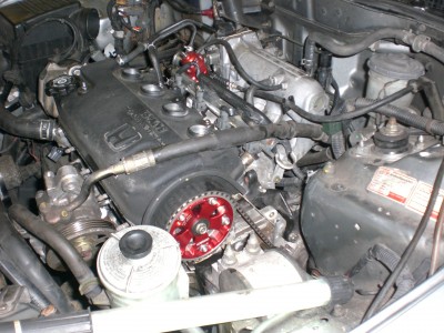 CIMG2557.JPG