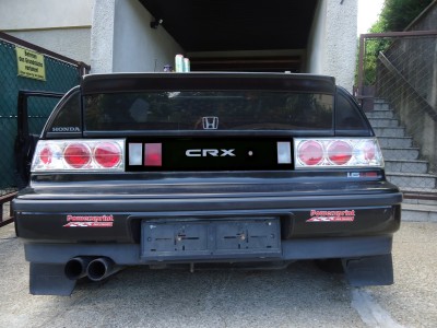edm9r7l77e.jpg
