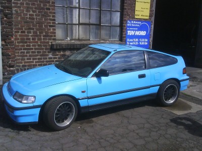 meine bilder 100.jpg