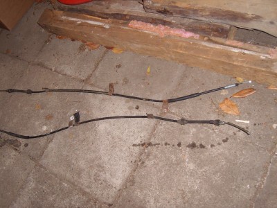 SL271295.JPG