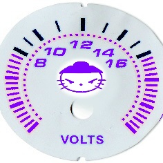 voltkitty.JPG