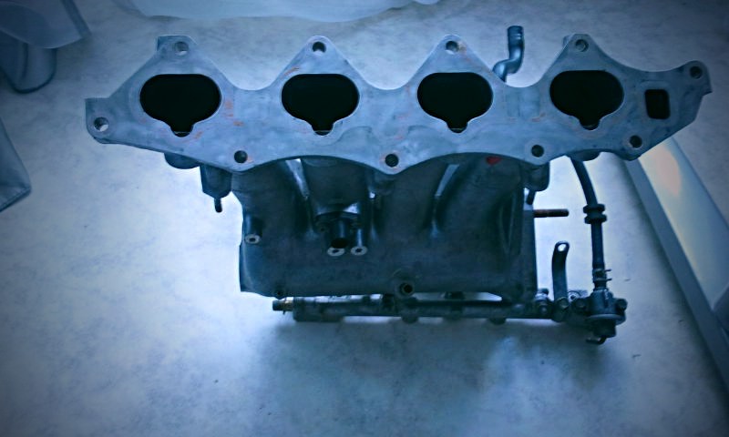 WAMO0045.jpg