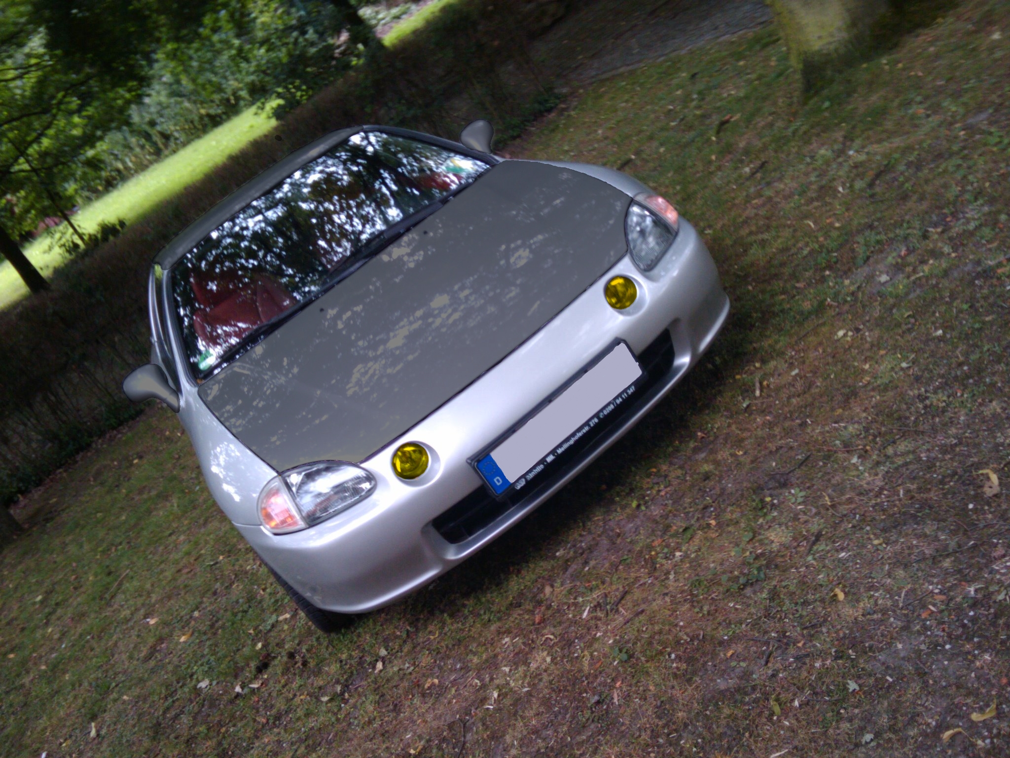 Del sol Fake.jpg