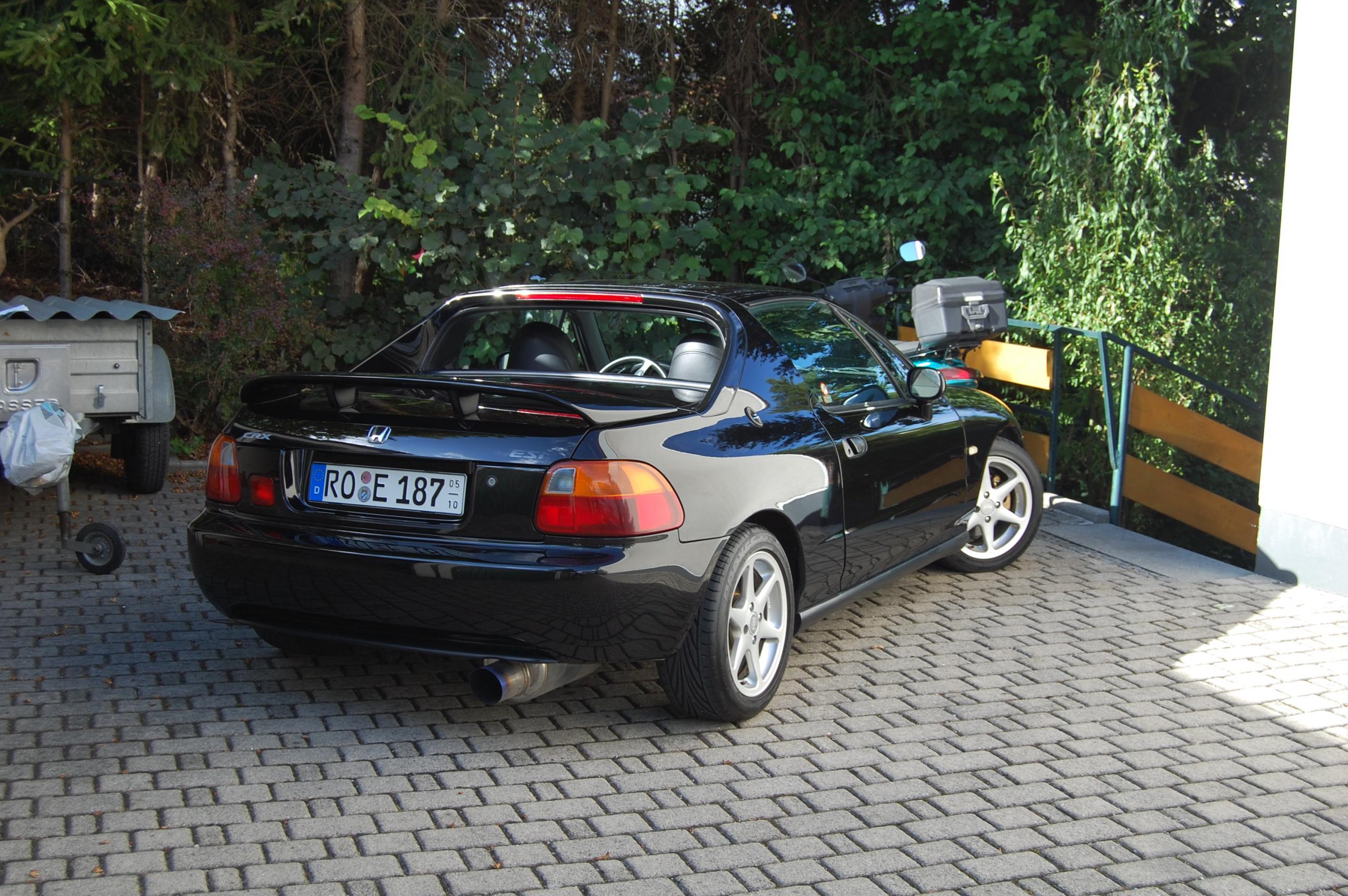 DSC_0525.JPG
