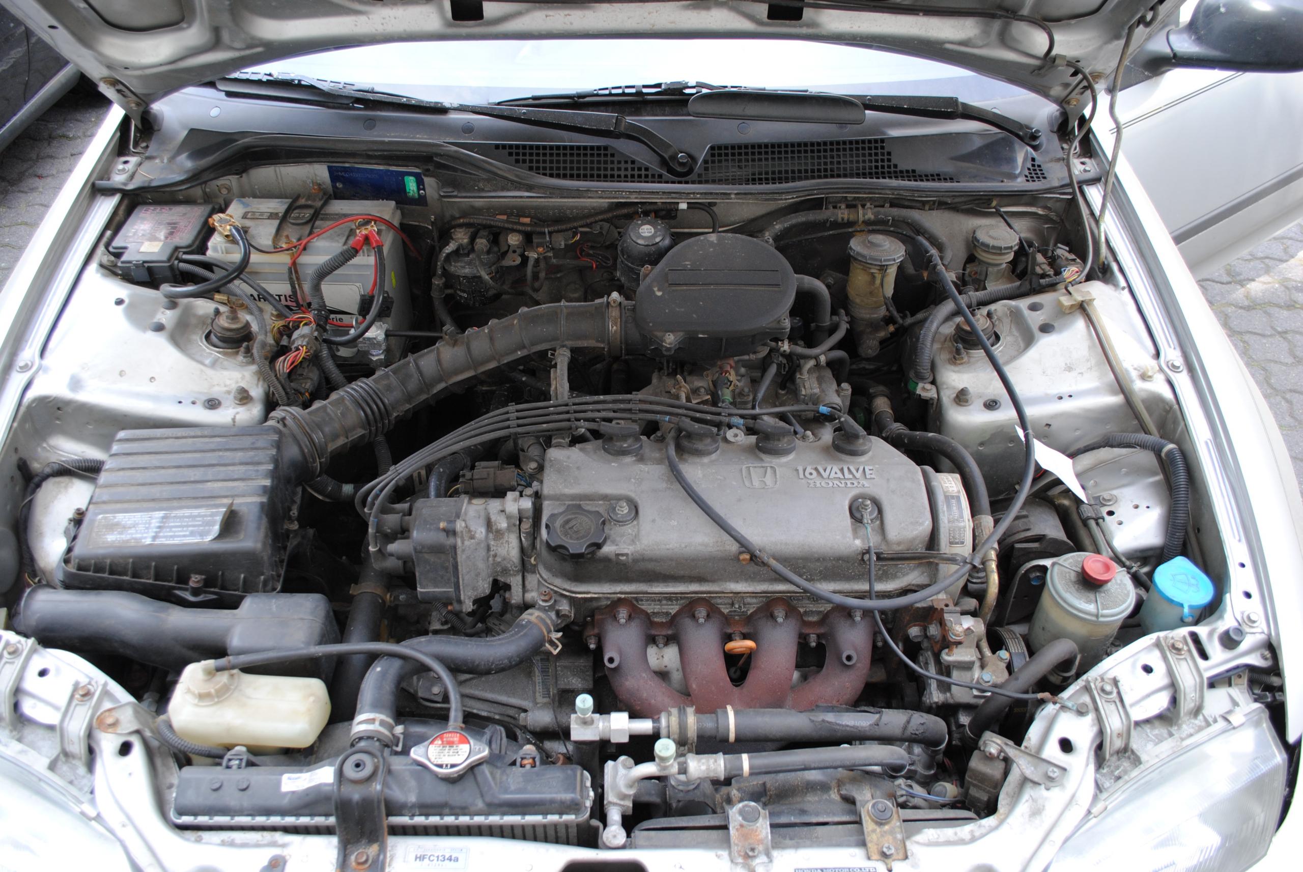 DSC_0667.JPG