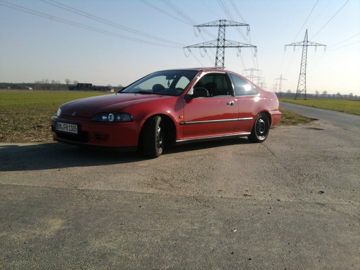 gerade frisch gekauft.jpg