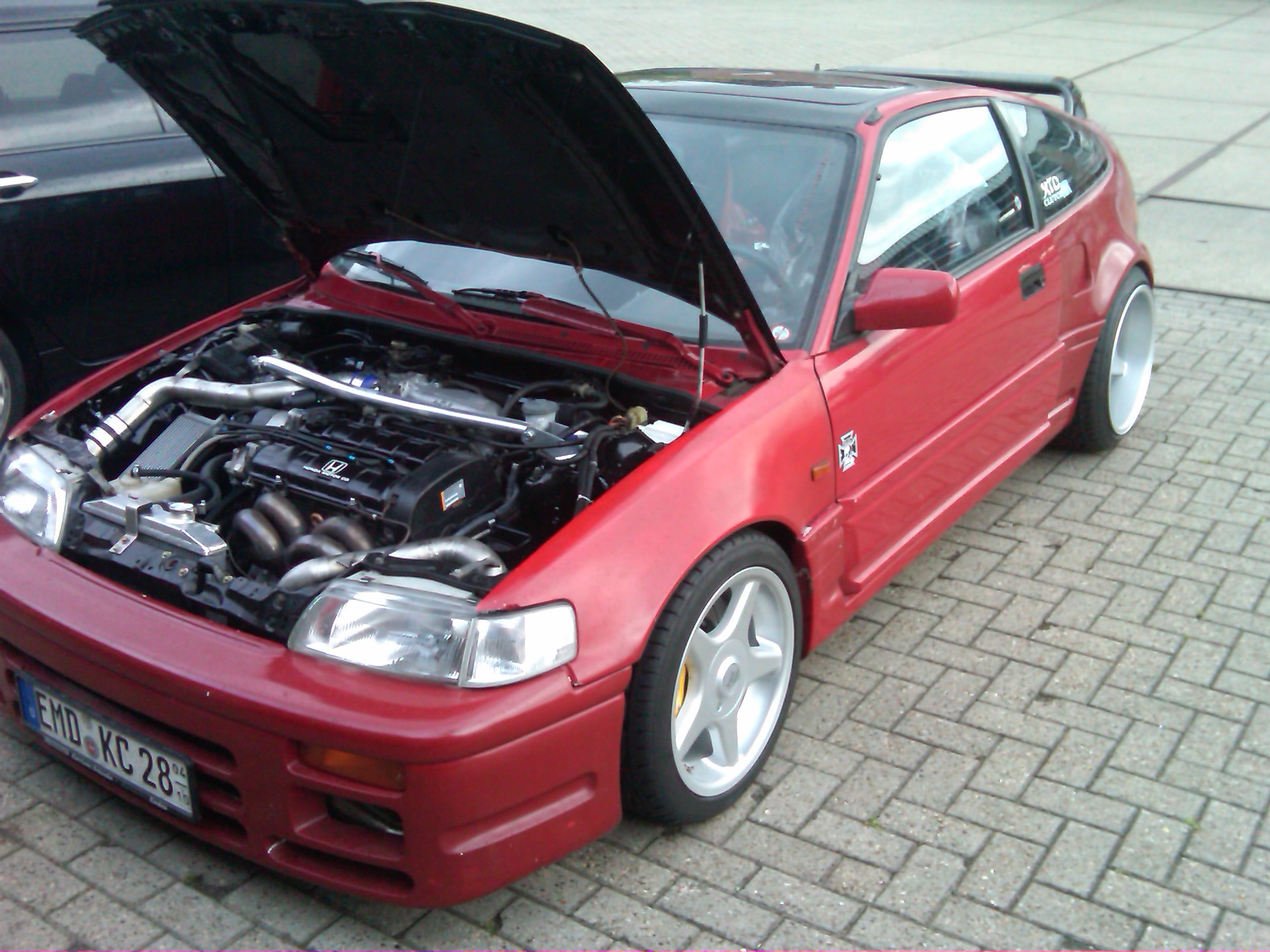 IMG01079-20110827-1655.jpg